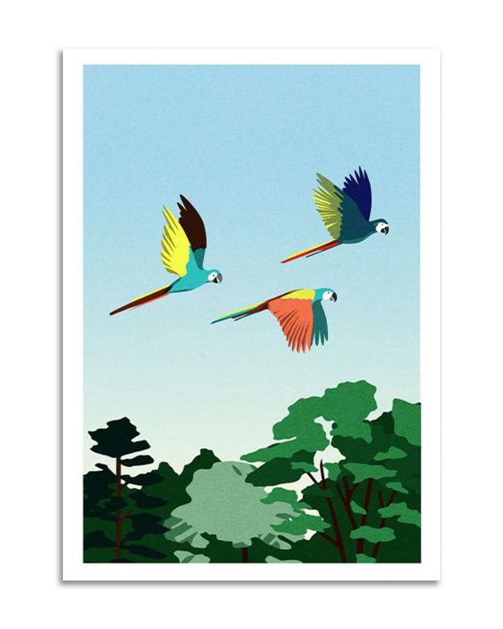 Canvas image