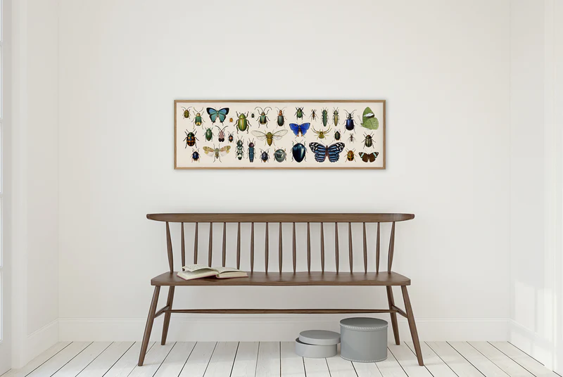 Butterflies and Beetles – hover