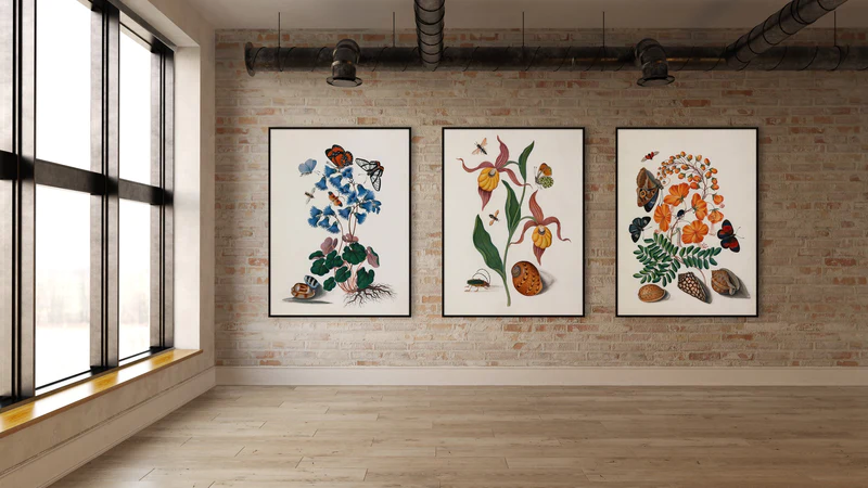 Orange Lillies, Insects and a Shell – hover