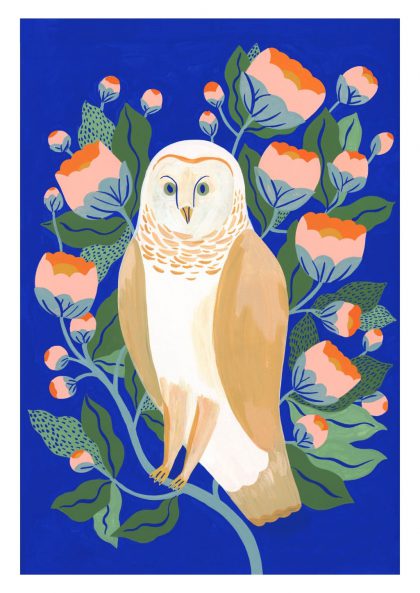 Hibou – hover
