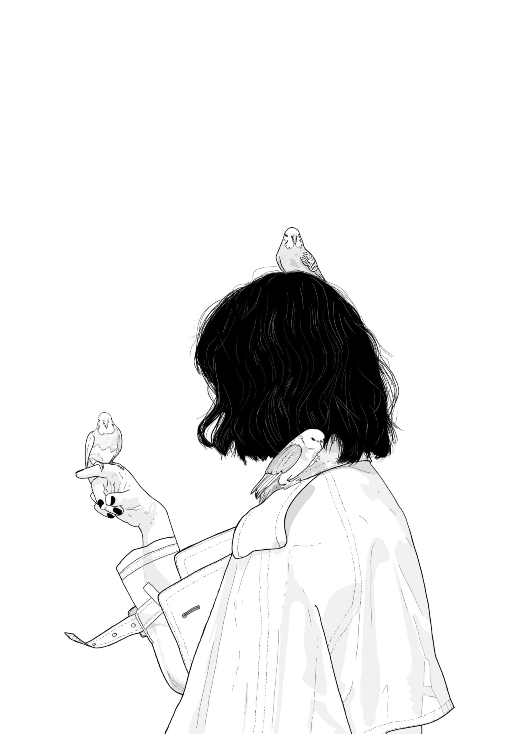 The Hidden Birds – hover